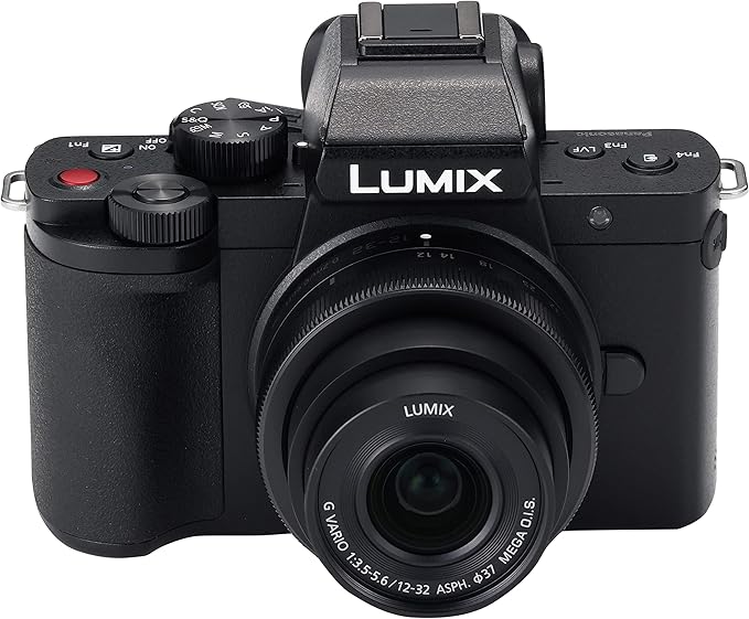 Panasonic LUMIX G100K Mirrorless Camera with Standard Zoom Lens Kit, Black DC-G100K-K