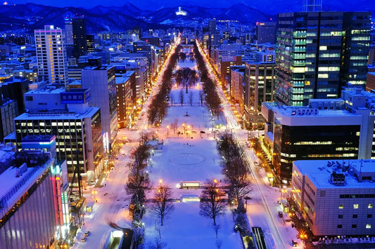 Hokkaido Sapporo's 19 Most Popular Tourist Attractions