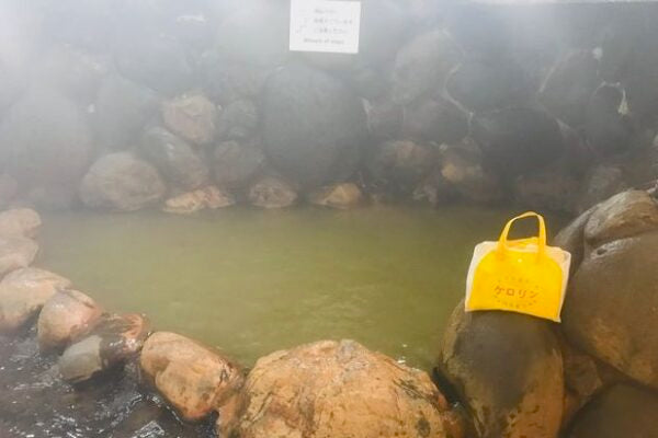 Top 10 Recommended Day Trip Onsen in Arima, Hyogo