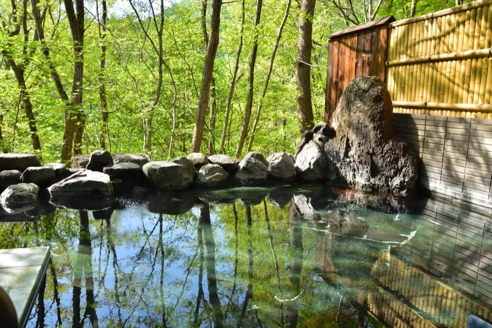Top 10 Recommended Ryokan in Dogo Onsen, Ehime