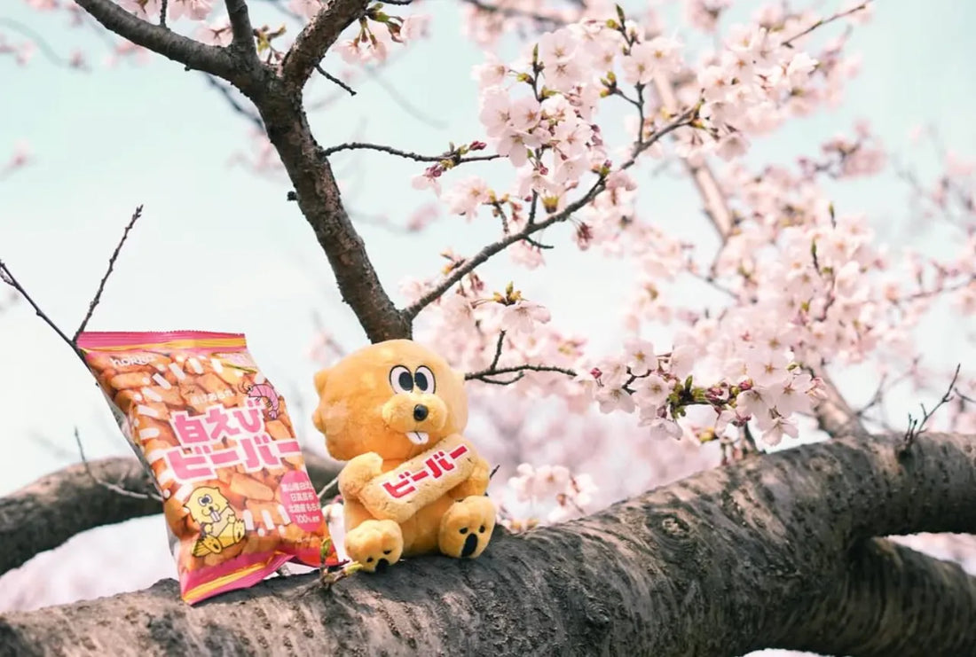 Toyama: Top 13 Omiyage
