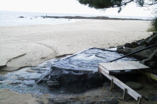 9 Recommended Day Trip Onsen in Kyoto
