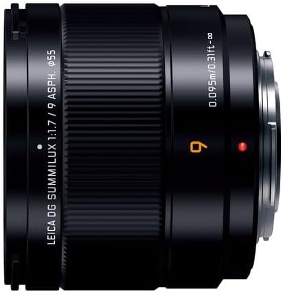 Panasonic Panasonic Wide-Angle Single Focus LUMIX Camera Lens Interchangeable Lens for Digital Single-Lens Cameras H-X09