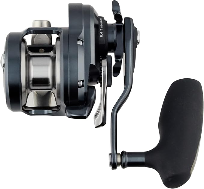 Shimano Ocea Jigger F Custom 1000HG