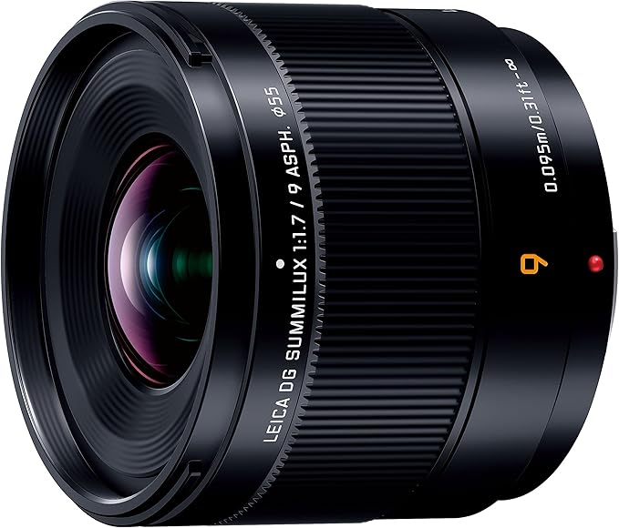 Panasonic Panasonic Wide-Angle Single Focus LUMIX Camera Lens Interchangeable Lens for Digital Single-Lens Cameras H-X09